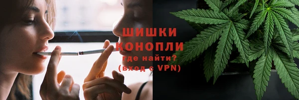 гидропоника Сатка