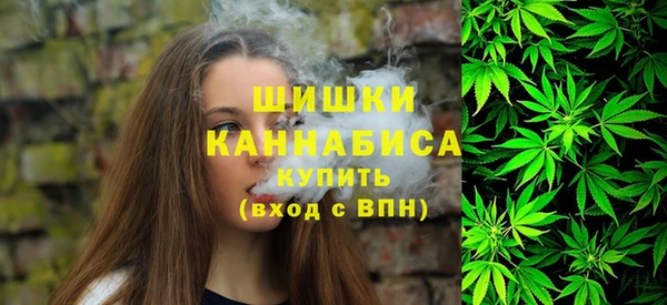 гидропоника Сатка