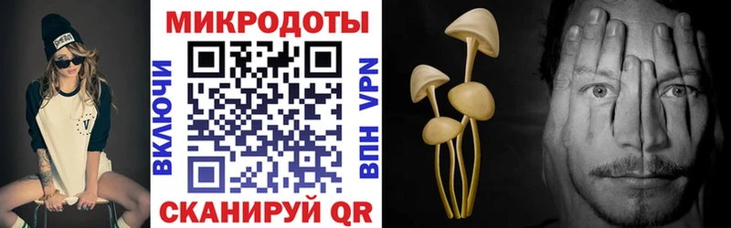 Псилоцибиновые грибы мухоморы  Купить закладки  Кремёнки 